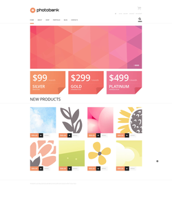 WooCommerce e-shop šablona na téma Umění a fotografie č. 47562
