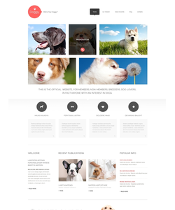 WordPress šablona na téma Zvířata č. 47998