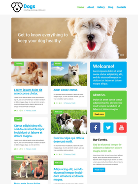 WordPress šablona na téma Zvířata č. 52170